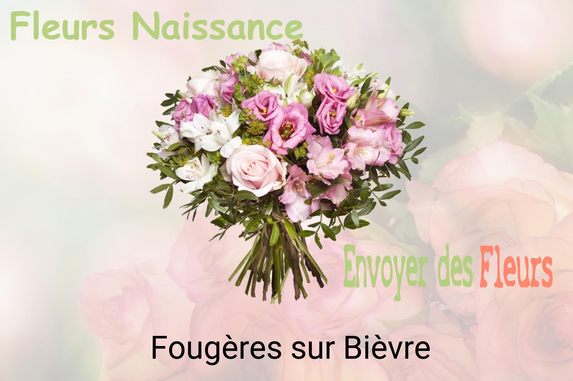 Bouquet de fleurs de naissance livré à Fougères-sur-Bièvre